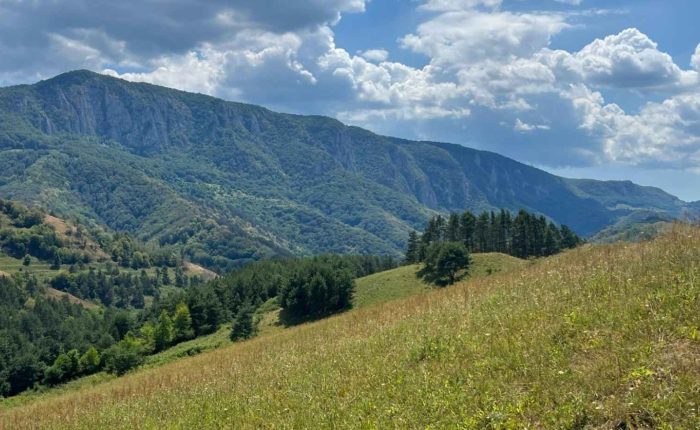 Cascada Sipote sub masivul Bedeleu. Apuseni