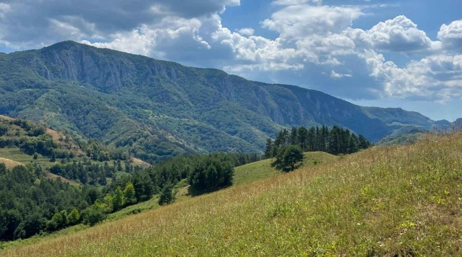 Cascada Sipote sub masivul Bedeleu. Apuseni