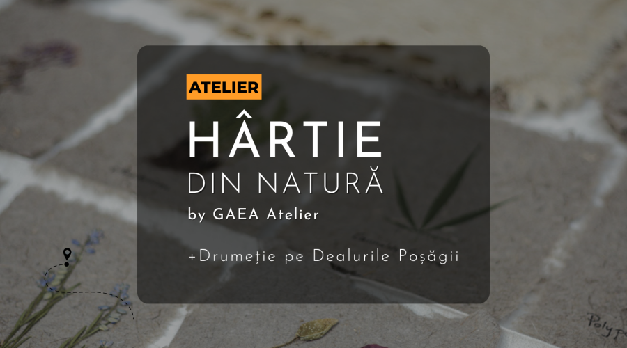 Atelier de Hartie si Drumetie